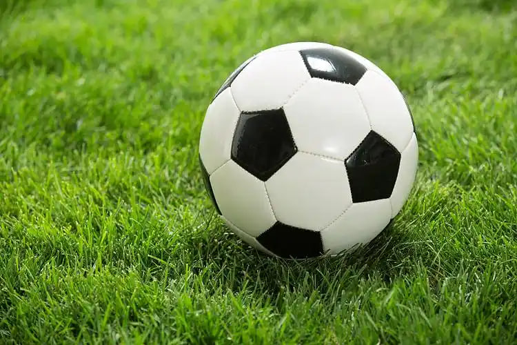 足彩爱好者使用场景